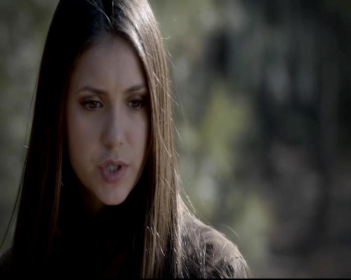 VampireDiariesWorld-dot-org_4x13IntoTheWild1218.jpg