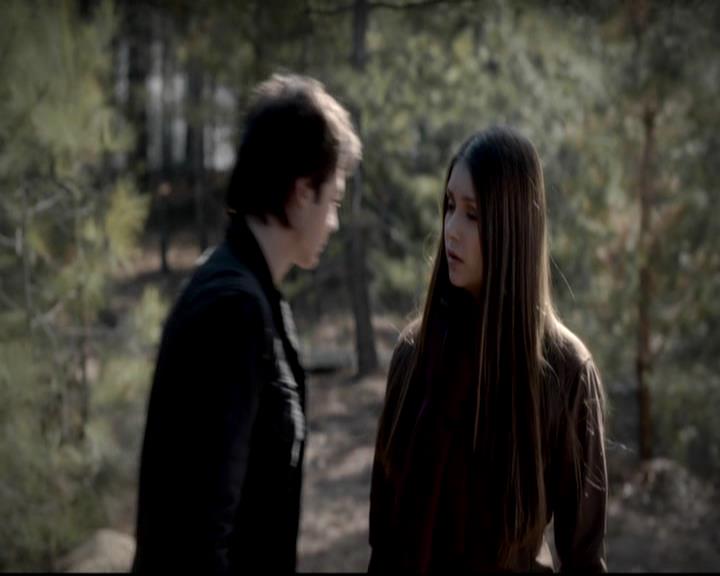 VampireDiariesWorld-dot-org_4x13IntoTheWild1220.jpg