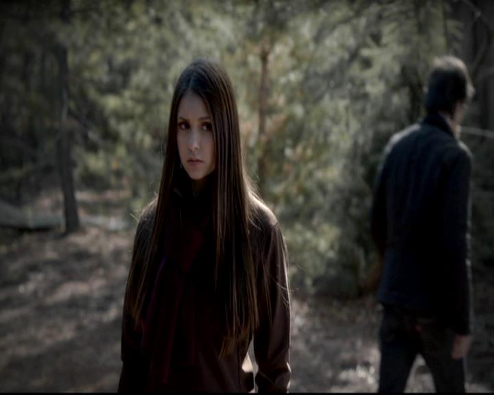 VampireDiariesWorld-dot-org_4x13IntoTheWild1222.jpg