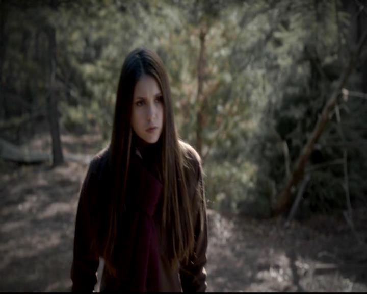 VampireDiariesWorld-dot-org_4x13IntoTheWild1225.jpg