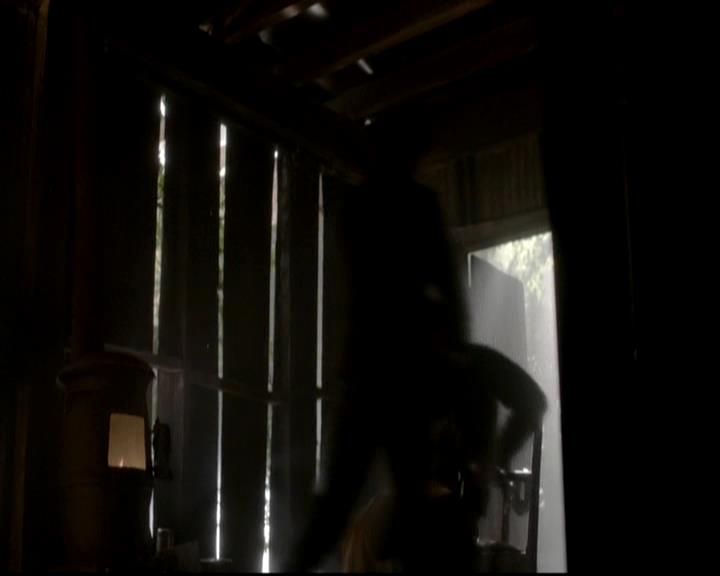 VampireDiariesWorld-dot-org_4x13IntoTheWild1249.jpg