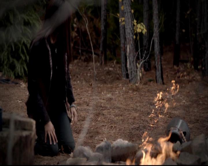 VampireDiariesWorld-dot-org_4x13IntoTheWild1362.jpg