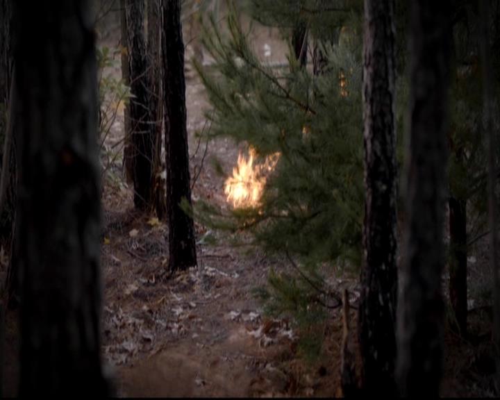 VampireDiariesWorld-dot-org_4x13IntoTheWild1363.jpg