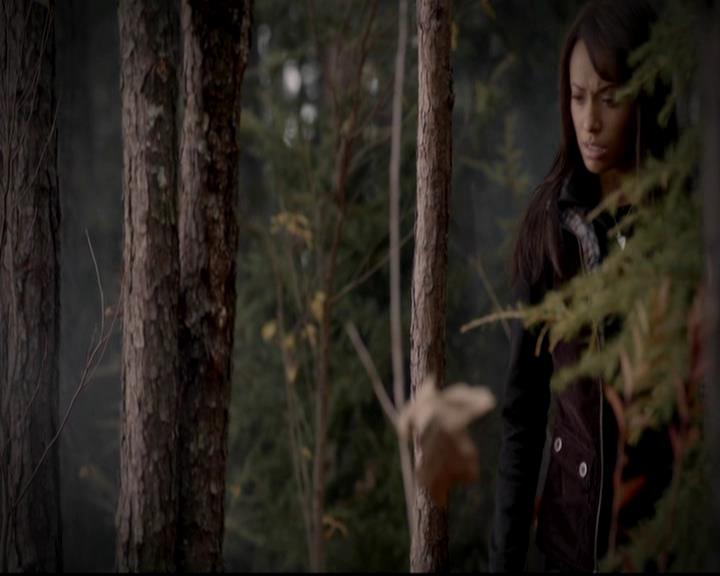 VampireDiariesWorld-dot-org_4x13IntoTheWild1366.jpg