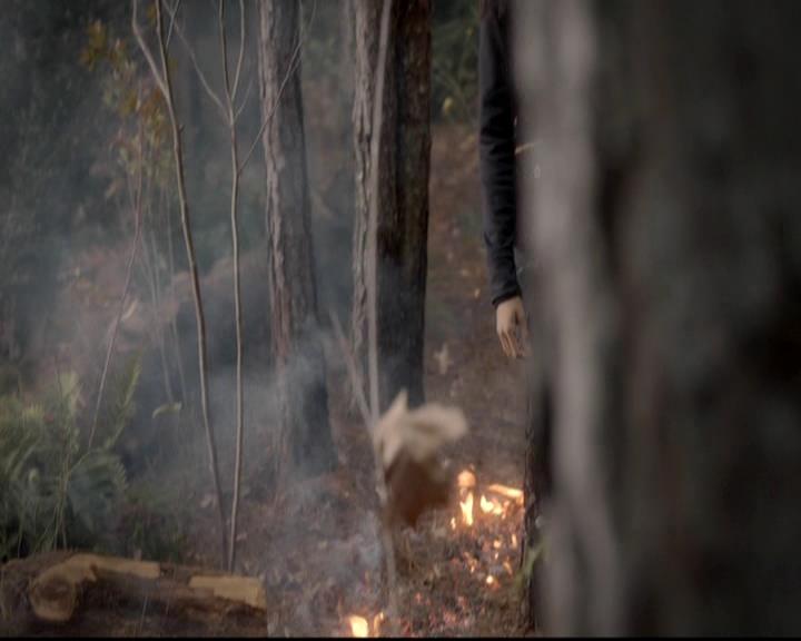 VampireDiariesWorld-dot-org_4x13IntoTheWild1368.jpg