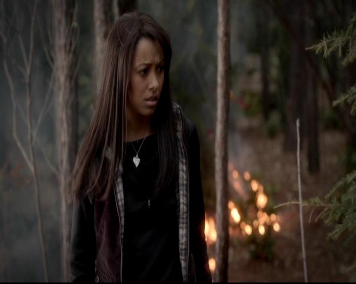 VampireDiariesWorld-dot-org_4x13IntoTheWild1372.jpg