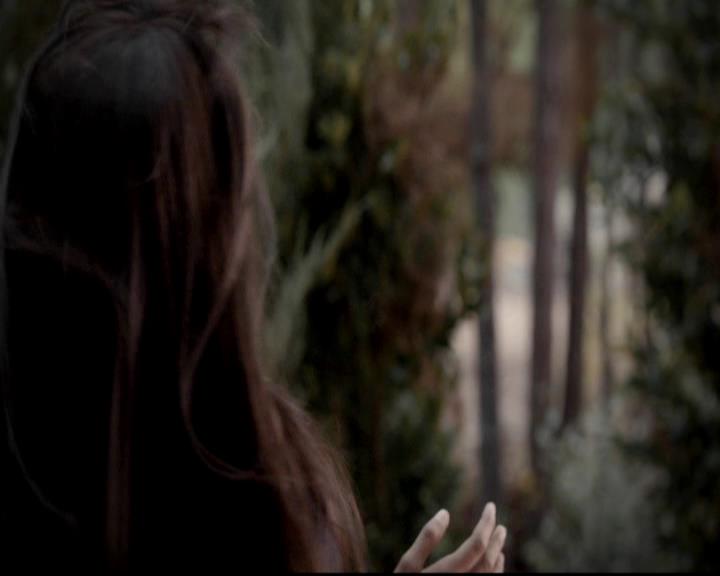 VampireDiariesWorld-dot-org_4x13IntoTheWild1379.jpg