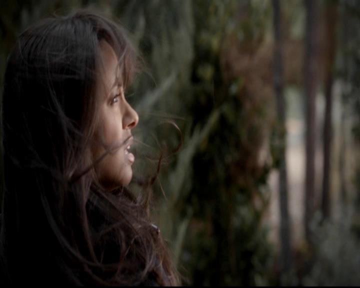 VampireDiariesWorld-dot-org_4x13IntoTheWild1380.jpg