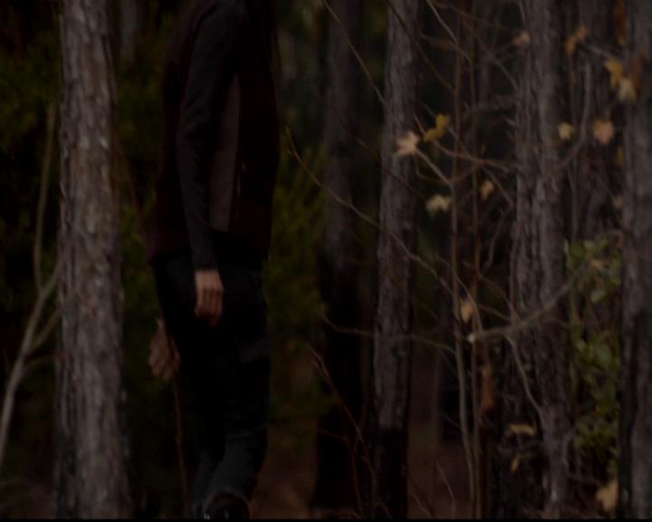 VampireDiariesWorld-dot-org_4x13IntoTheWild1386.jpg