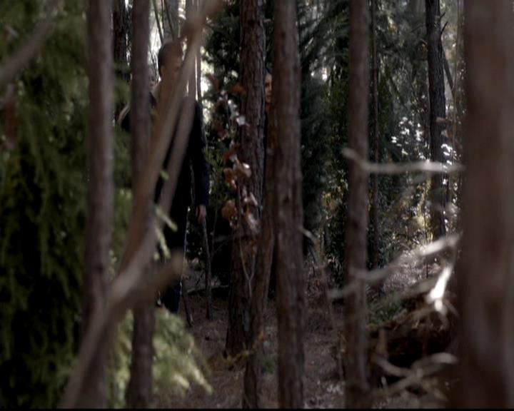 VampireDiariesWorld-dot-org_4x13IntoTheWild1390.jpg