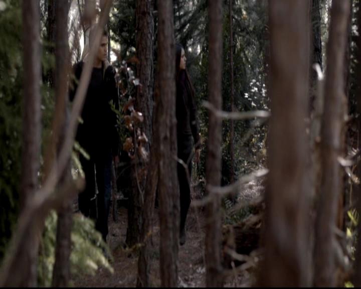 VampireDiariesWorld-dot-org_4x13IntoTheWild1391.jpg