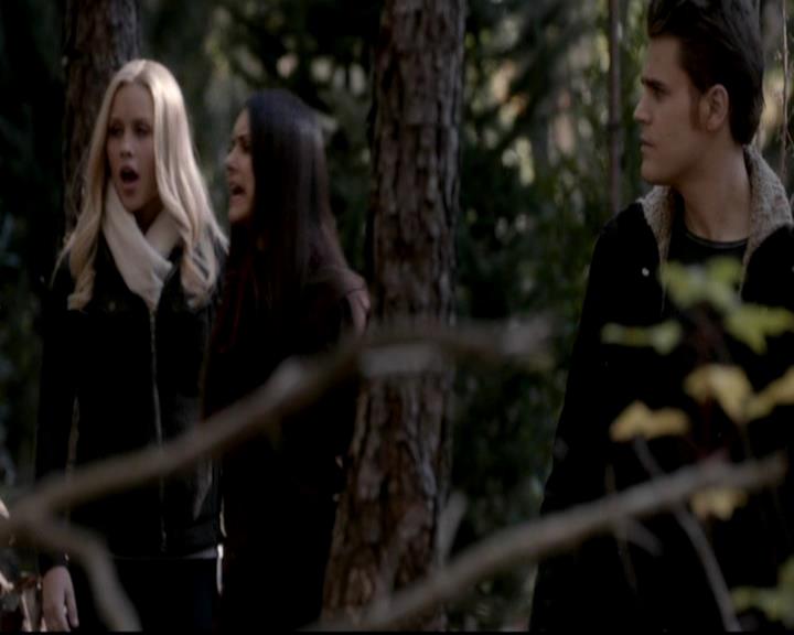 VampireDiariesWorld-dot-org_4x13IntoTheWild1393.jpg