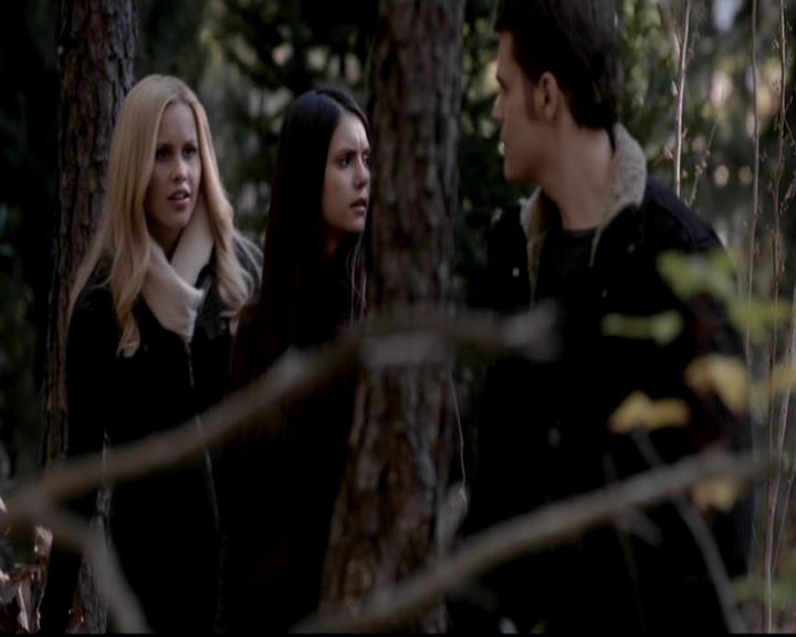 VampireDiariesWorld-dot-org_4x13IntoTheWild1394.jpg