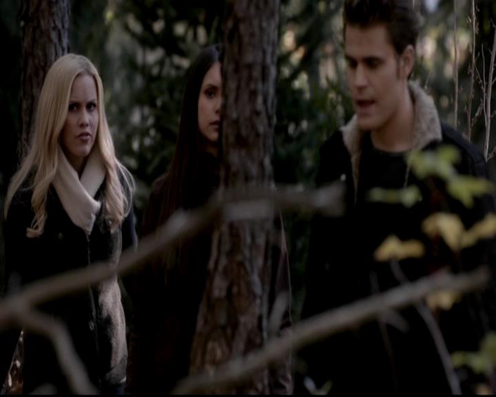 VampireDiariesWorld-dot-org_4x13IntoTheWild1395.jpg