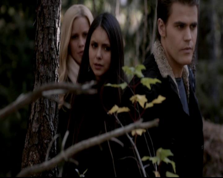 VampireDiariesWorld-dot-org_4x13IntoTheWild1399.jpg