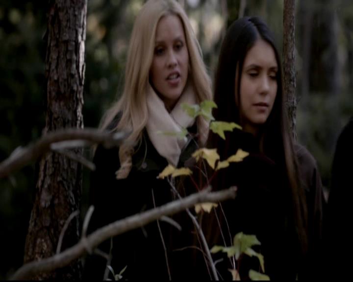 VampireDiariesWorld-dot-org_4x13IntoTheWild1400.jpg