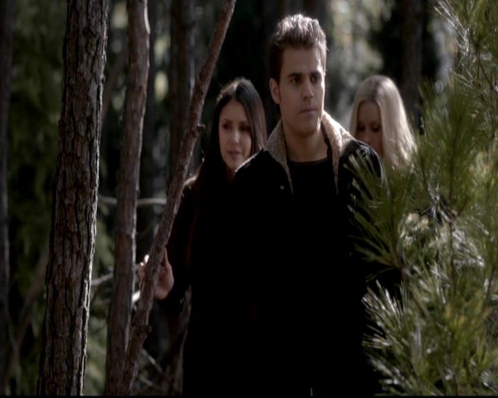 VampireDiariesWorld-dot-org_4x13IntoTheWild1404.jpg