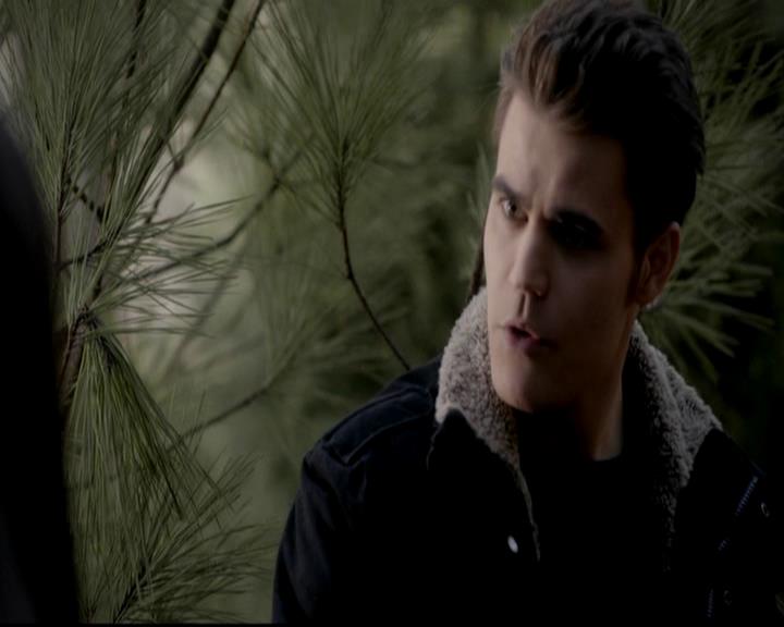 VampireDiariesWorld-dot-org_4x13IntoTheWild1407.jpg