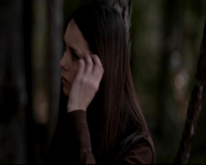 VampireDiariesWorld-dot-org_4x13IntoTheWild1409.jpg