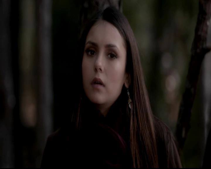 VampireDiariesWorld-dot-org_4x13IntoTheWild1410.jpg