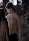 VampireDiariesWorld-dot-org_4x13IntoTheWild0311.jpg