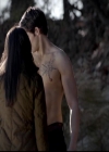 VampireDiariesWorld-dot-org_4x13IntoTheWild0312.jpg