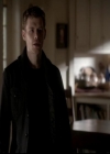 VampireDiariesWorld-dot-org_4x13IntoTheWild0365.jpg