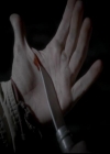 VampireDiariesWorld-dot-org_4x13IntoTheWild0513.jpg