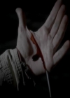 VampireDiariesWorld-dot-org_4x13IntoTheWild0514.jpg