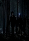 VampireDiariesWorld-dot-org_4x13IntoTheWild0607.jpg