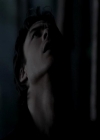 VampireDiariesWorld-dot-org_4x13IntoTheWild0620.jpg