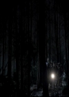 VampireDiariesWorld-dot-org_4x13IntoTheWild0625.jpg