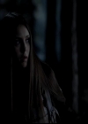 VampireDiariesWorld-dot-org_4x13IntoTheWild0634.jpg