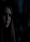 VampireDiariesWorld-dot-org_4x13IntoTheWild0640.jpg