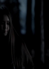 VampireDiariesWorld-dot-org_4x13IntoTheWild0644.jpg