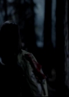 VampireDiariesWorld-dot-org_4x13IntoTheWild0645.jpg