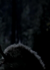 VampireDiariesWorld-dot-org_4x13IntoTheWild0655.jpg