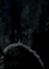 VampireDiariesWorld-dot-org_4x13IntoTheWild0656.jpg