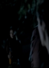 VampireDiariesWorld-dot-org_4x13IntoTheWild0711.jpg