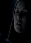 VampireDiariesWorld-dot-org_4x13IntoTheWild0735.jpg