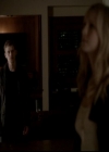 VampireDiariesWorld-dot-org_4x13IntoTheWild0799.jpg