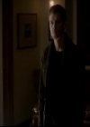 VampireDiariesWorld-dot-org_4x13IntoTheWild0809.jpg