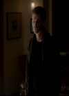 VampireDiariesWorld-dot-org_4x13IntoTheWild0812.jpg