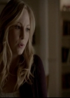 VampireDiariesWorld-dot-org_4x13IntoTheWild0814.jpg