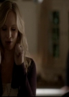 VampireDiariesWorld-dot-org_4x13IntoTheWild0872.jpg