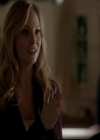 VampireDiariesWorld-dot-org_4x13IntoTheWild0874.jpg