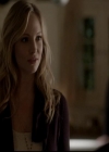 VampireDiariesWorld-dot-org_4x13IntoTheWild0878.jpg