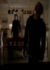 VampireDiariesWorld-dot-org_4x13IntoTheWild0887.jpg