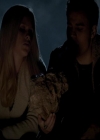 VampireDiariesWorld-dot-org_4x13IntoTheWild0903.jpg