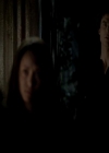 VampireDiariesWorld-dot-org_4x13IntoTheWild1009.jpg